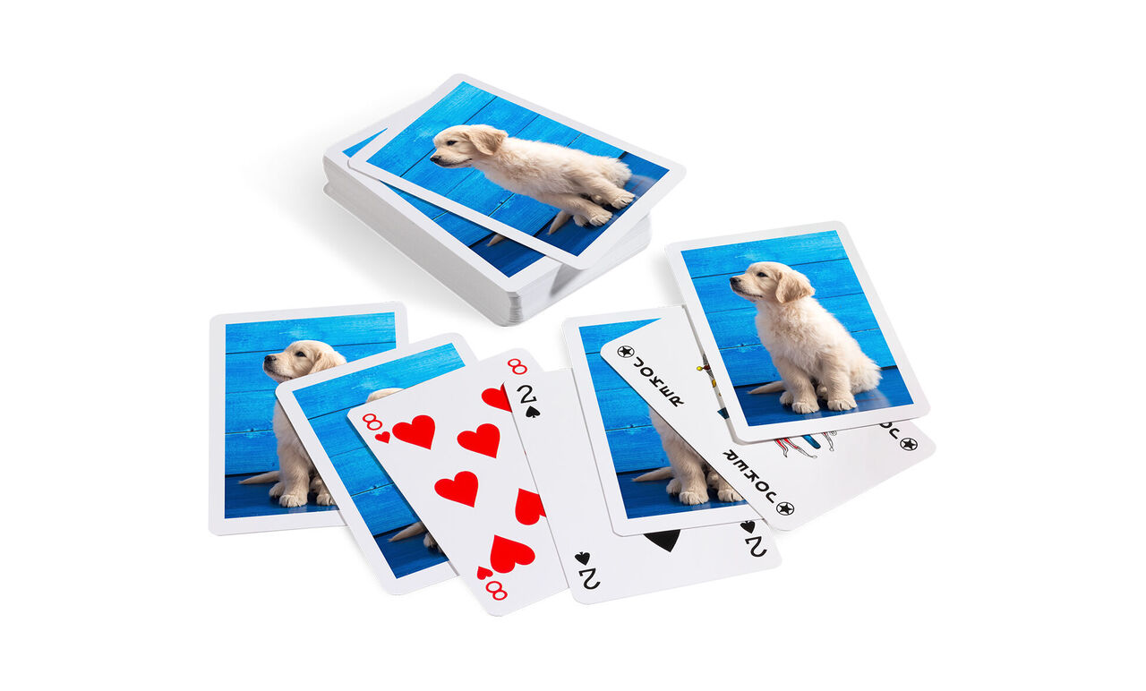 Kort med bilder av en glad hund på en blå bakgrund
