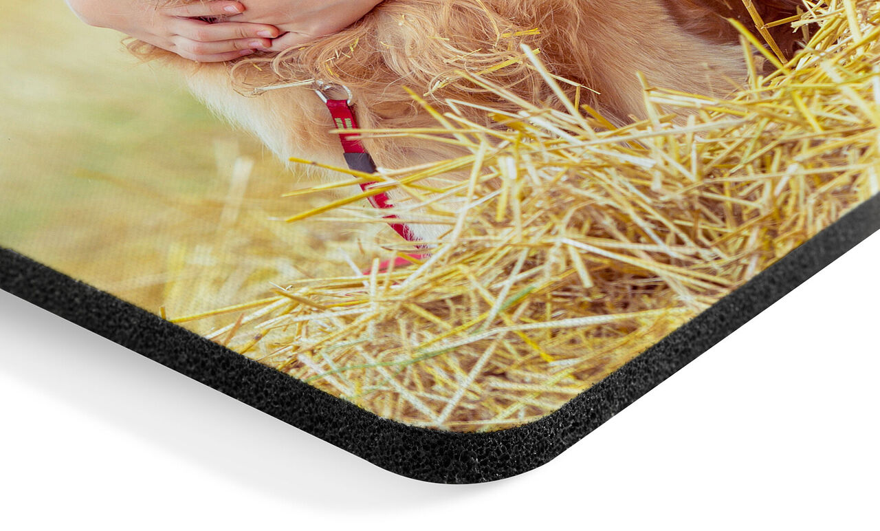 Detalj av ett fotopussel med bild på hund.